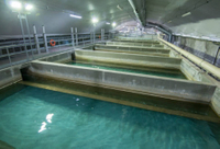 //rmrorwxhpqjqln5p.ldycdn.com/cloud/llbppknplosrjlripimqjp/what-are-the-qualifications-for-nyc-sewage-treatment-jobs.jpg