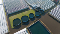 //rmrorwxhpqjqln5p.ldycdn.com/cloud/lqbppknplosrjlrijmrqjq/what-happens-if-hydrogen-cyanide-is, вылетел в a-sewage-treatment-plant.jpg